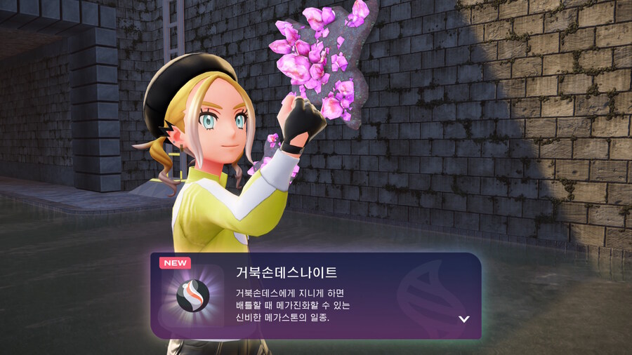 포켓몬) 분명 나는 평범한 취향이었는데_3.jpg