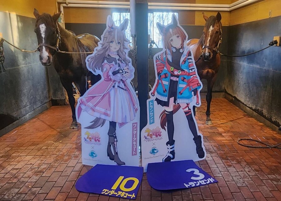 말딸 원본마들 : "늬슈?"_1.jpg