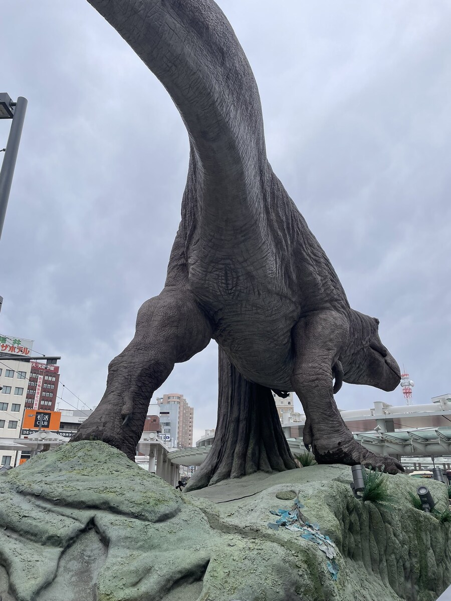 새벽이면 이거 올리면 됨?_2.jpg