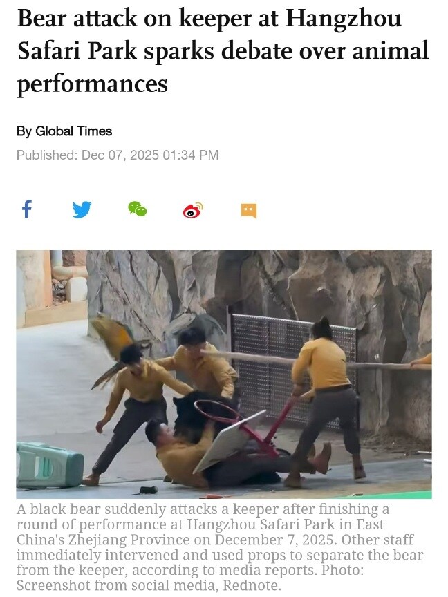 중국 항저우 동물원에서 공연 중이던 흑곰이 사육사를 습격_1.jpg