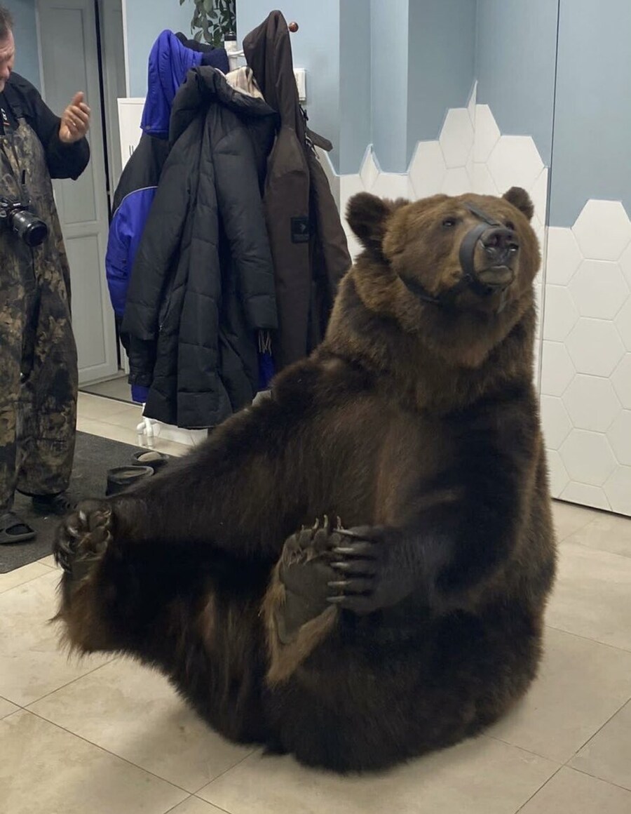 치과에 간 좀큰 동네주민_2.jpg