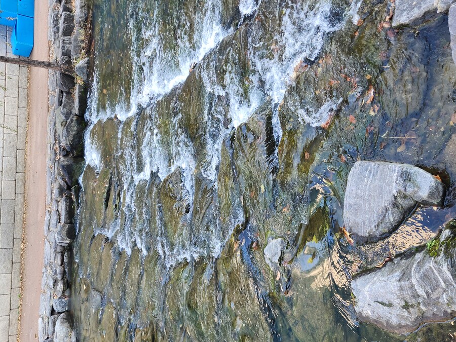 서울은 연말 축제네요_9.jpg