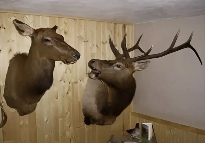 야! 내가 그냥 집에 처박혀 있자고 했지!_1.jpg