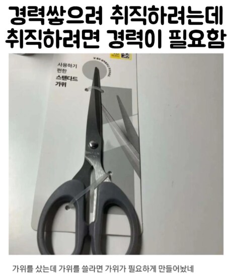 신입으로 입사하려면 경력이 필요하다는 것을 보여주는 사회적 의미_1.png