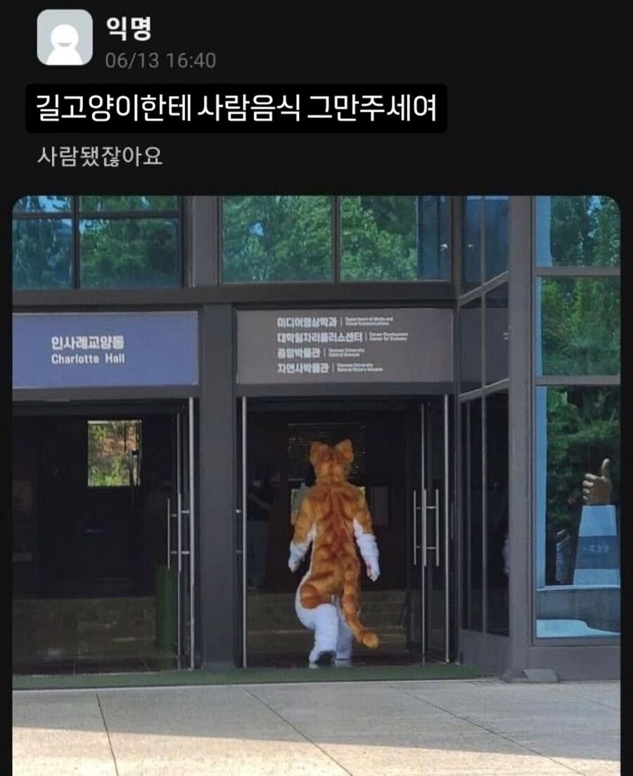 길고양이한테 사람 음식 좀 주지 마세요!_1.jpg