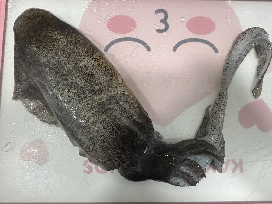 생존 기록 02 아직 한 번 남았어요_11.jpg