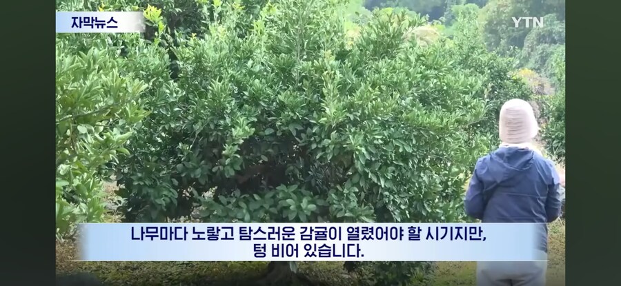 제주도 근황.jpg_2.jpg