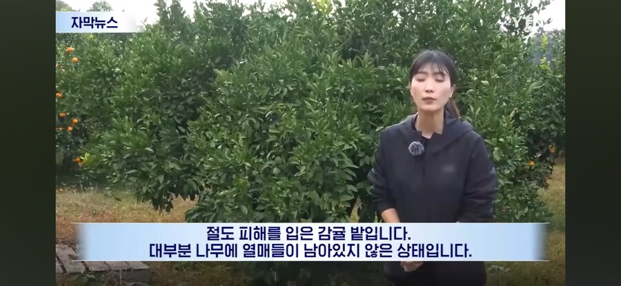 제주도 근황.jpg_7.jpg