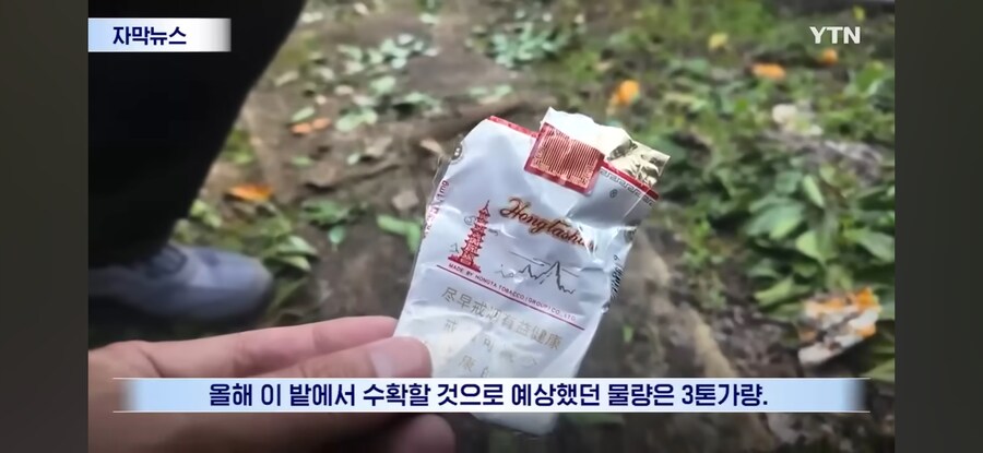 제주도 근황.jpg_9.jpg