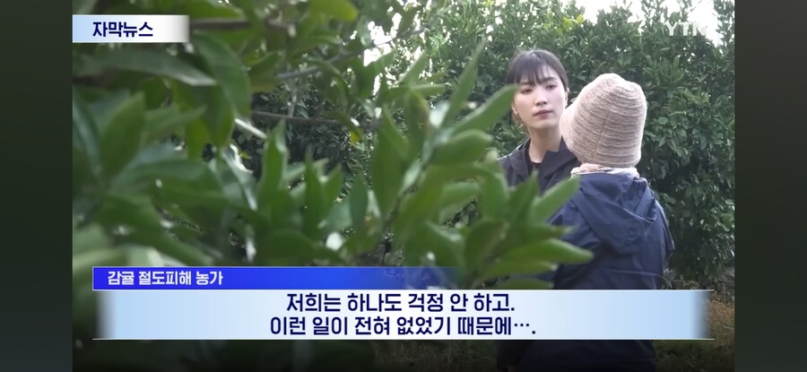 제주도 근황.jpg_12.jpg