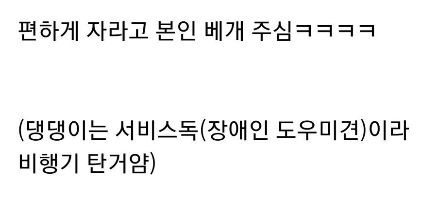 댕댕이 데리고 비행기를 탔는데 옆좌석 할머니가_1.jpg