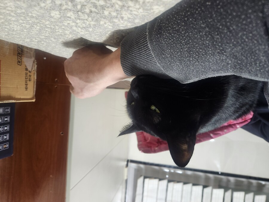 인기없는 검은 고양이는..._15.jpg