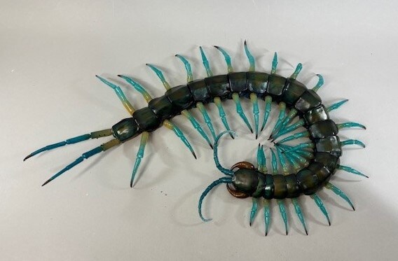 [반다이가샤폰] 생물대도감 얼티밋 3탄 류진 왕지네. 개발 최종 단계 샘플_6.jpg