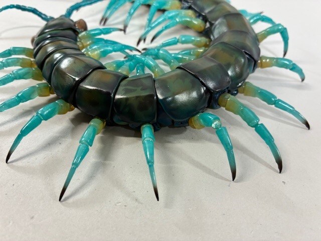 [반다이가샤폰] 생물대도감 얼티밋 3탄 류진 왕지네. 개발 최종 단계 샘플_7.jpg