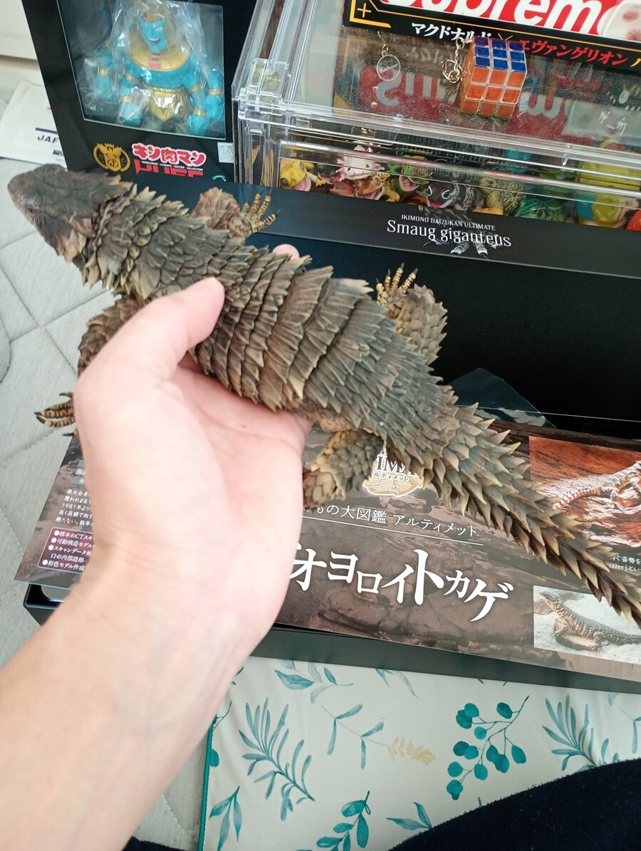 [반다이가샤폰] 생물대도감 얼티밋 3탄 류진 왕지네. 개발 최종 단계 샘플_2.jpg