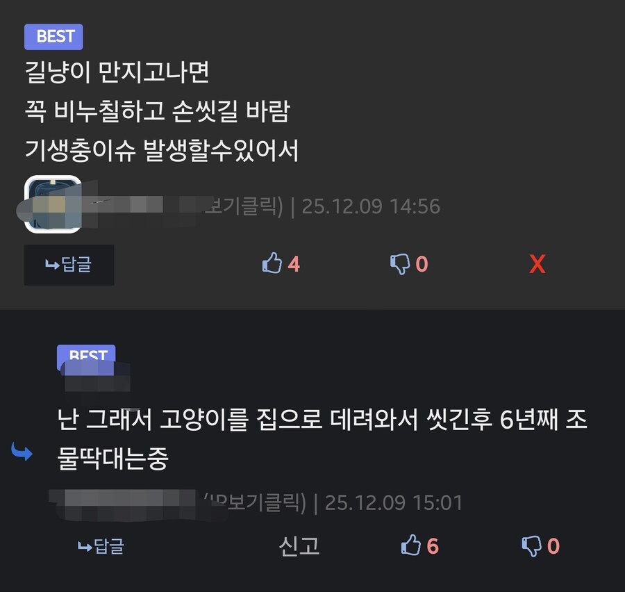 길냥이를 만진후 올바른 대처법_1.jpg