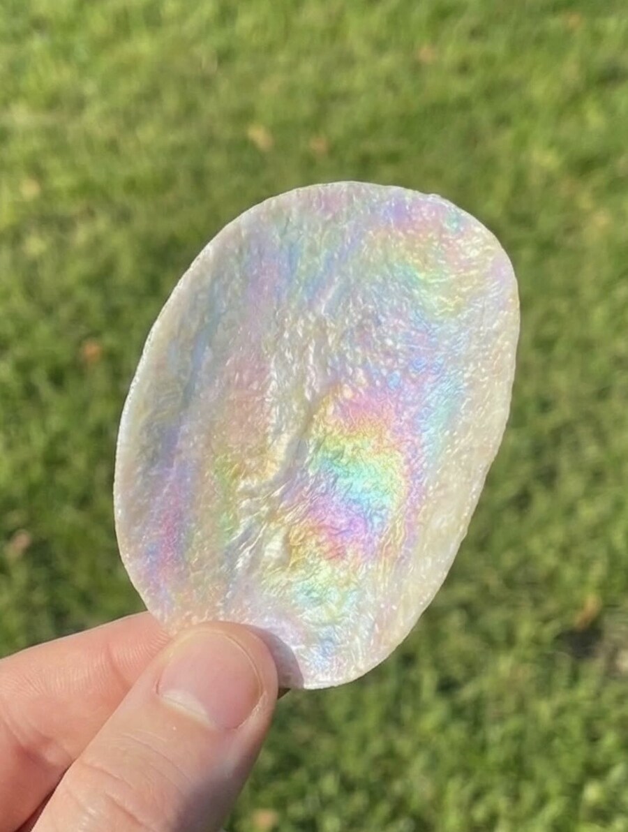 프링글스 신제품_3.jpg