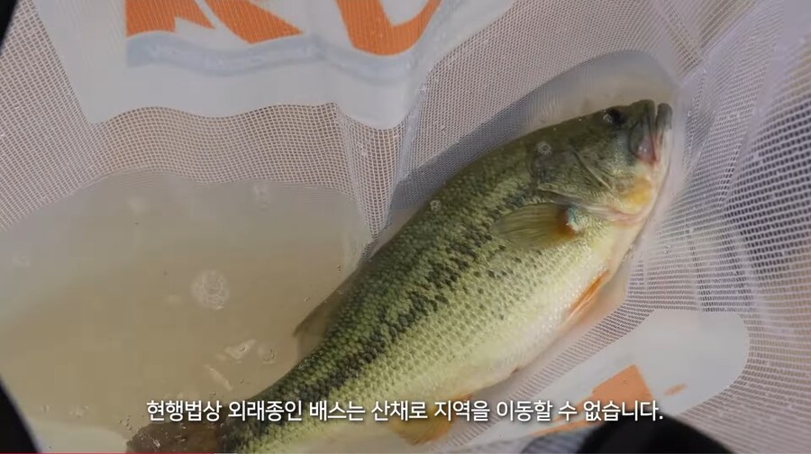 의외로 낚시 중 불법인 행위_2.jpg