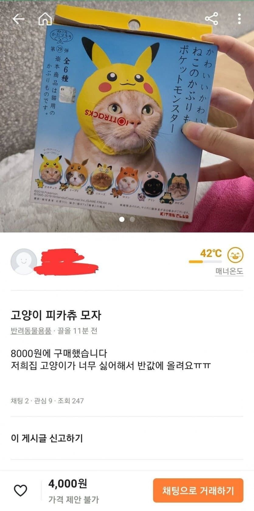 고양이 모자를 중고로 팔게 된 이유_1.jpg