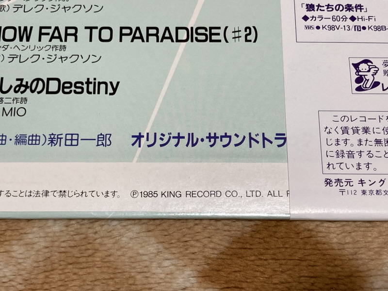 에어리어 88 "굿바이, 론리 블루" & SFC with 에이스 컴뱃 2_24.jpg