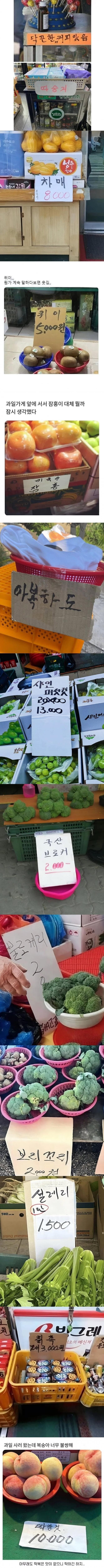 없는게 없다는 시골 시장_1.jpg