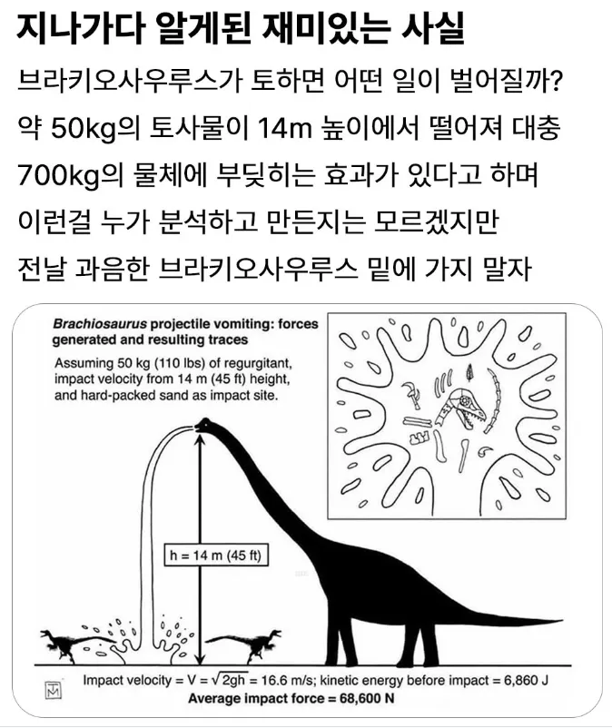 브라키오사우루스가 구토하면 생기는 일_1.webp