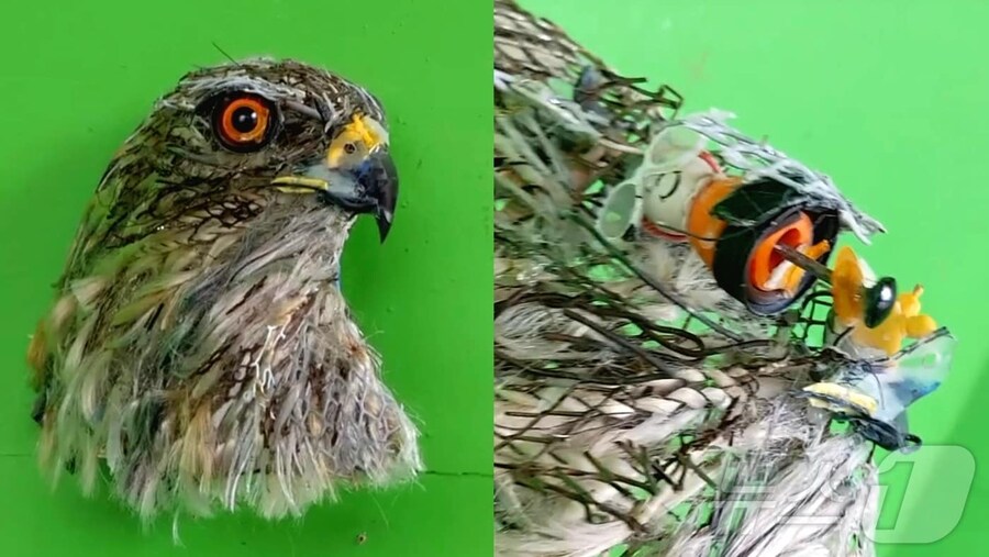 미대생들이 현타 온다는 현대미술_3.jpg