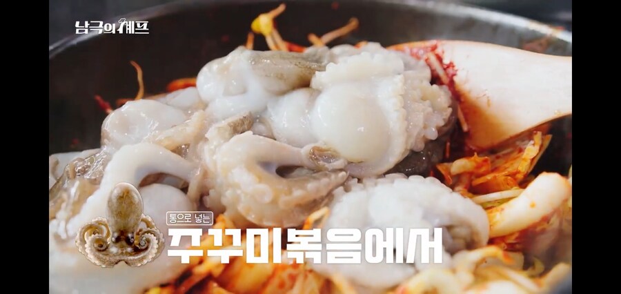 쭈꾸미랑 오징어도 구분 못하는 남극의 약탈자들_18.jpg