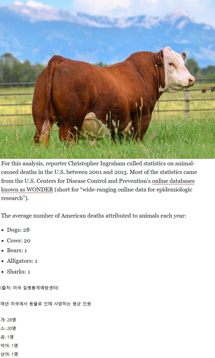 매년 미국에서 곰, 악어, 상어보다 20배나 많은 사람을 죽이는 동물_1.png