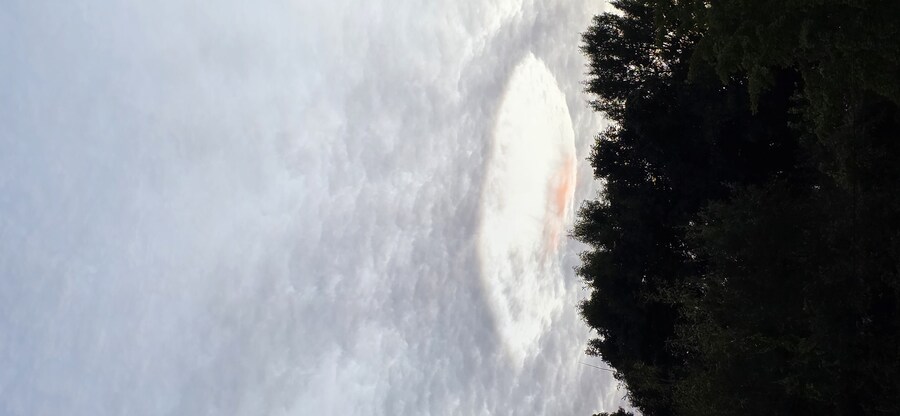 신기한 구름사진 찍었는데 이런 구름을 뭐라고 함?_4.jpg