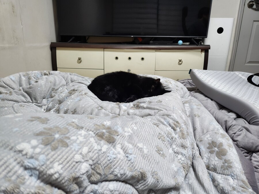 니들 빨리 결혼 안하면 큰일난다..._2.jpg