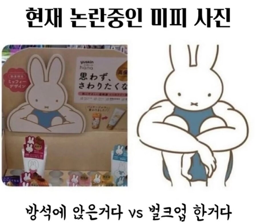 현재 논란중인 미피 사진_1.jpg