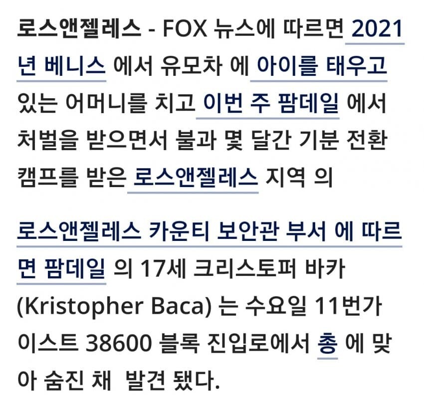 재미로 사람을 차로 친 개ㅅㄲ의 최후.jpg_1.jpg