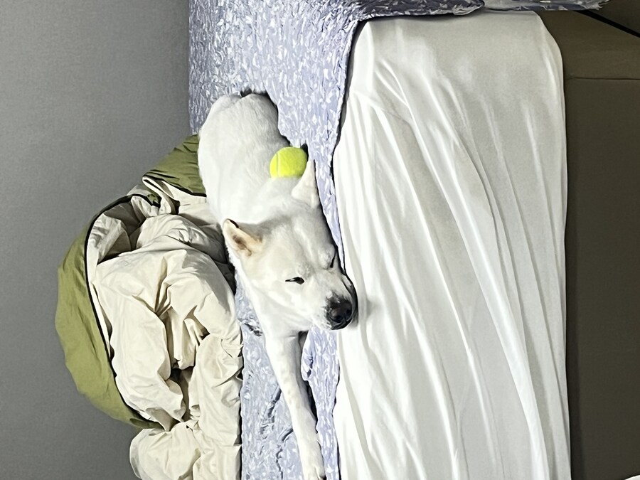 당일 퇴사 통보하면 안되나??_1.jpg