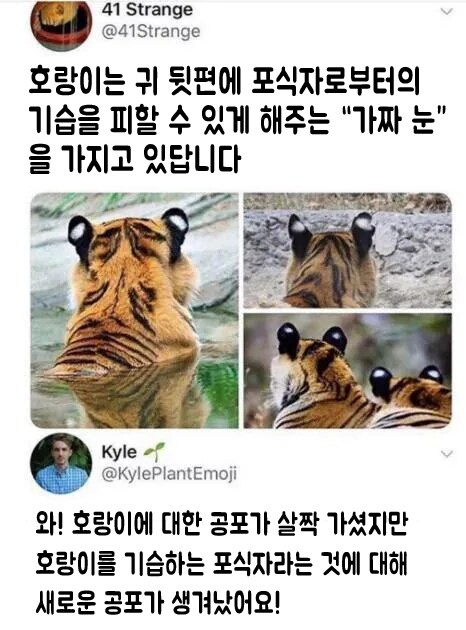 공포 대신 찾아온 새로운 공포_1.png