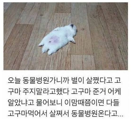 트릭컬)코미 사복 설명보니까 이 패러디 나오려나?_2.jpg