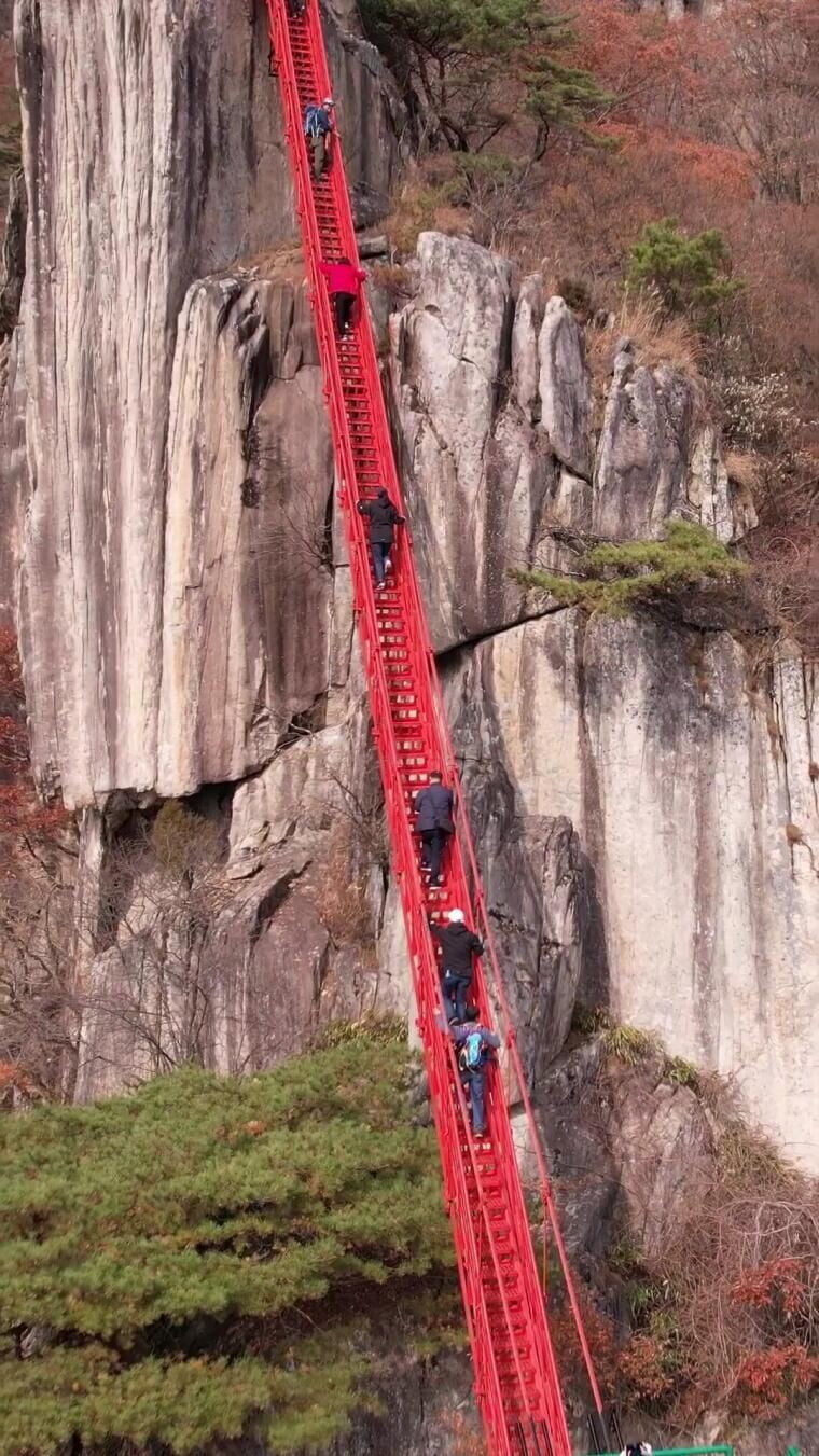 산에있는 다리사진 보고 겁먹지 않아도 되는 이유_2.jpg