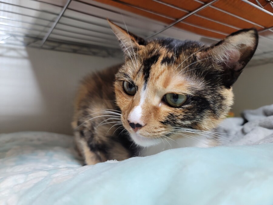 비오는날 배달유게이 복귀완료.. 난...최선을 다했어.._7.jpg