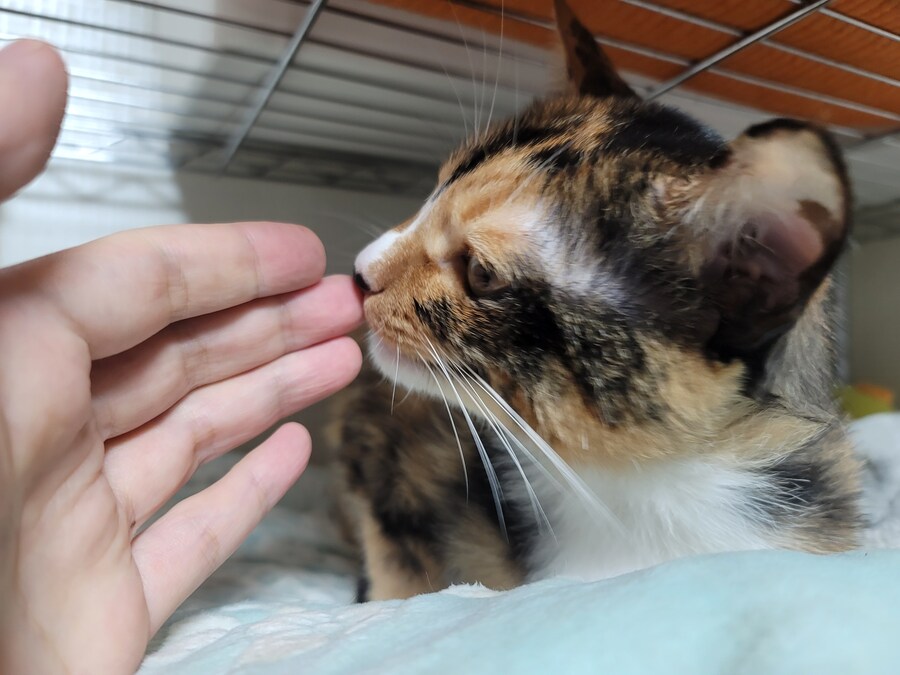 비오는날 배달유게이 복귀완료.. 난...최선을 다했어.._8.jpg