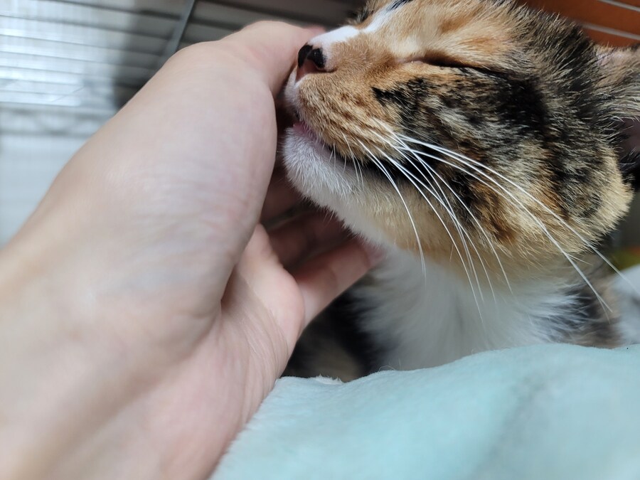 비오는날 배달유게이 복귀완료.. 난...최선을 다했어.._9.jpg