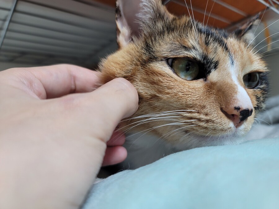 비오는날 배달유게이 복귀완료.. 난...최선을 다했어.._11.jpg