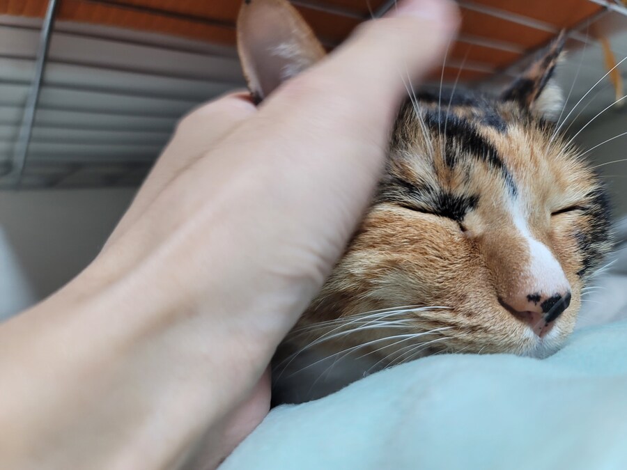 비오는날 배달유게이 복귀완료.. 난...최선을 다했어.._12.jpg