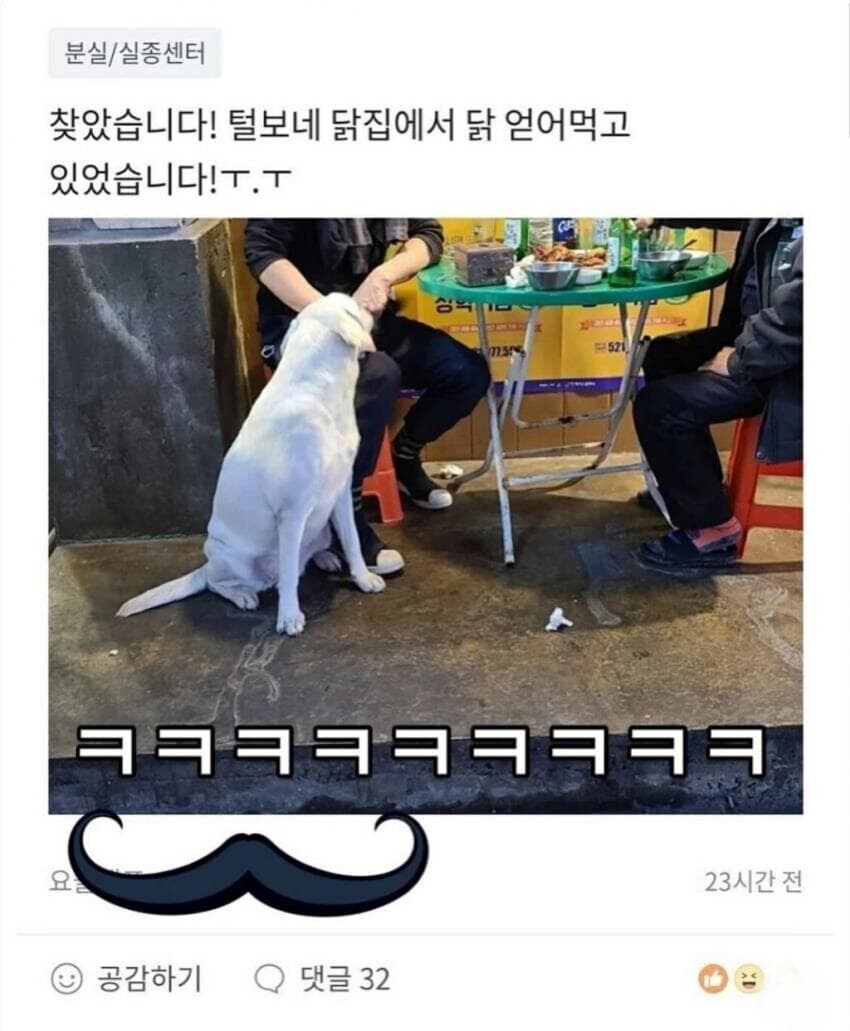 똥 싸러 갔다가 팁 받은 강아지_2.jpg