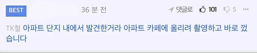 담배꽁초 투기 레전드_1.webp