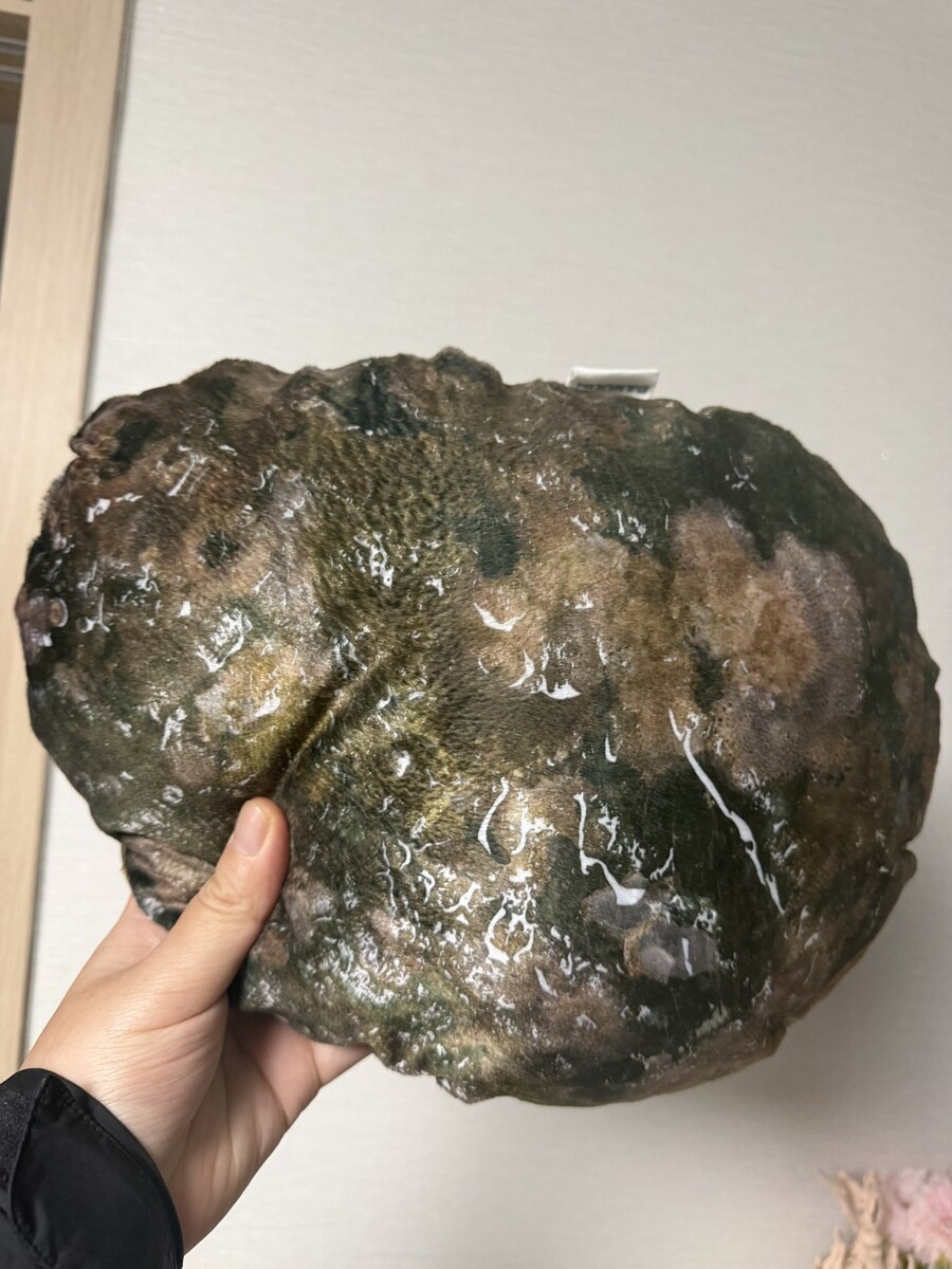 완도에 고향 사랑 기부 하면 받을수 있다는거_2.jpg