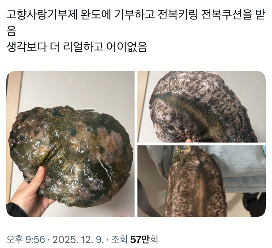 완도에 고향 사랑 기부 하면 받을수 있다는거_1.jpg