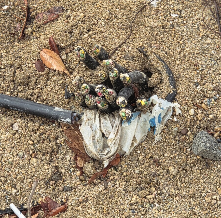 와 뭐야 길가에 김밥이다_1.jpg