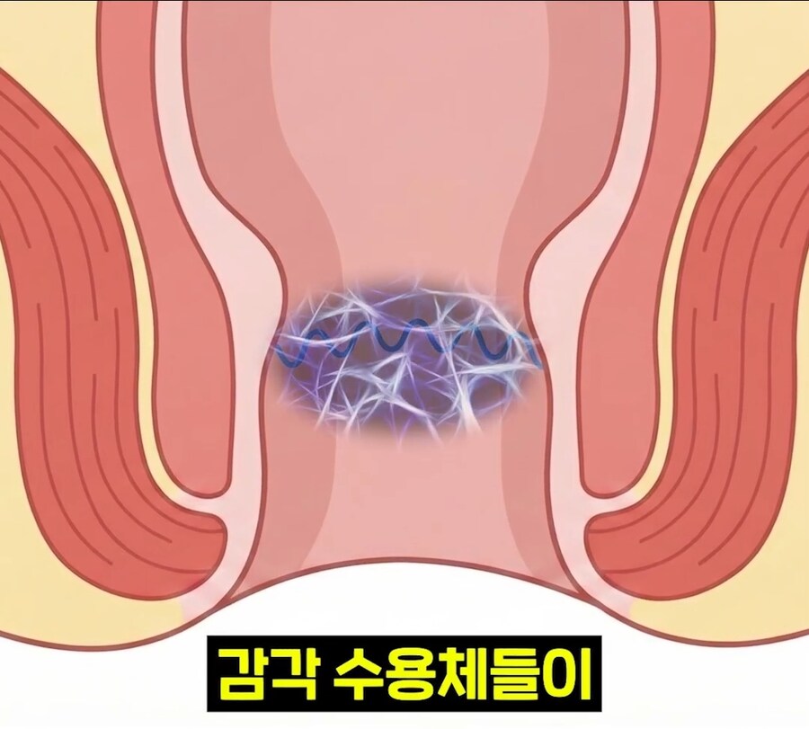 우리 뇌가 방구랑 된장을 구분하는 법_11.jpg