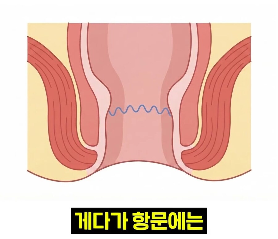 우리 뇌가 방구랑 된장을 구분하는 법_20.jpg