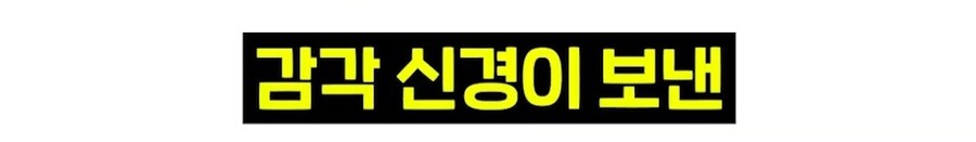 우리 뇌가 방구랑 된장을 구분하는 법_31.jpg